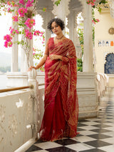 Women's Multicolor Organza Saree
