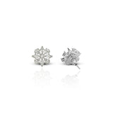 Women's Zirconia Alba Stud Earrings