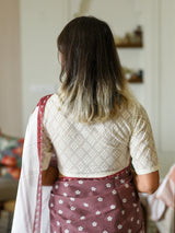 Women's Multicolor Pure Cotton Saree