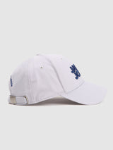 Men's Grey Casual Embroidery Cap