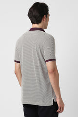 Men's Purple Casual Regular Fit Solid Half Sleeves Polo Tshirt