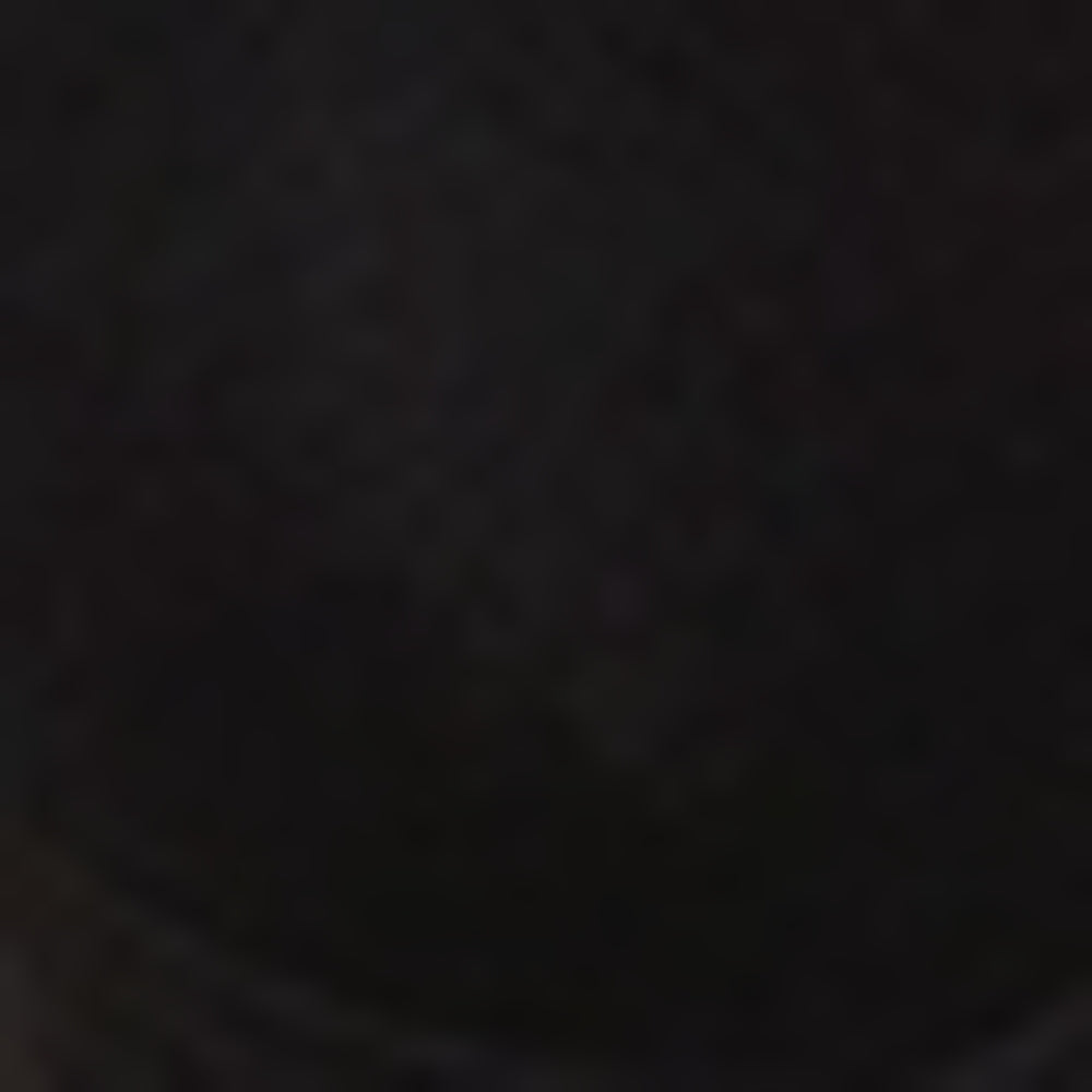 Women's Black Solid Hook Bra