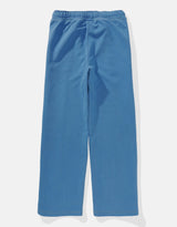 Women's Blue Casual Regular Fit Solid Trackpant