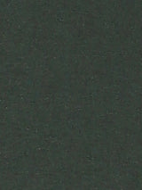 Mens Green Casual Regular Solid Full Sleeves Shirt