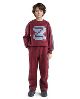 Boys Red Casual Regular Fit Solid Track Pant