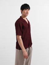 Men's Maroon Casual Regular Fit Polo Collar Half Sleeves Shirt