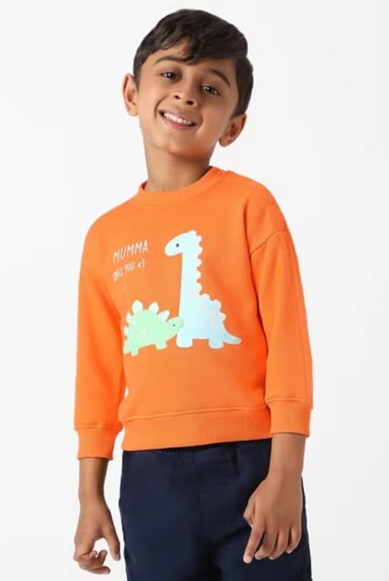 Boys Orange Casual Graphic Long Sleeves Fleece Sweatshirt