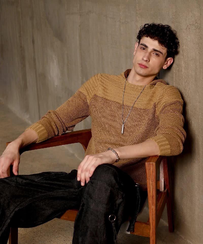 Men's Brown Casual Solid Sweatshirt