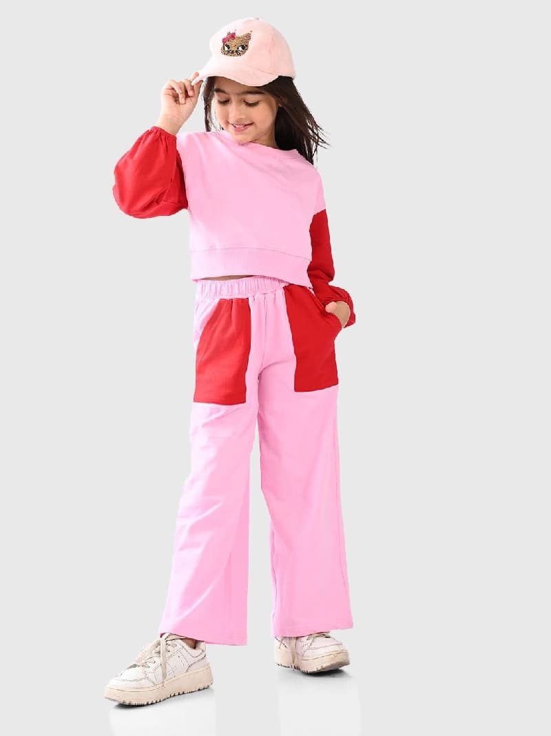 Girls Pink Casual Printed Regular Fit Full Sleeves Clothing Set