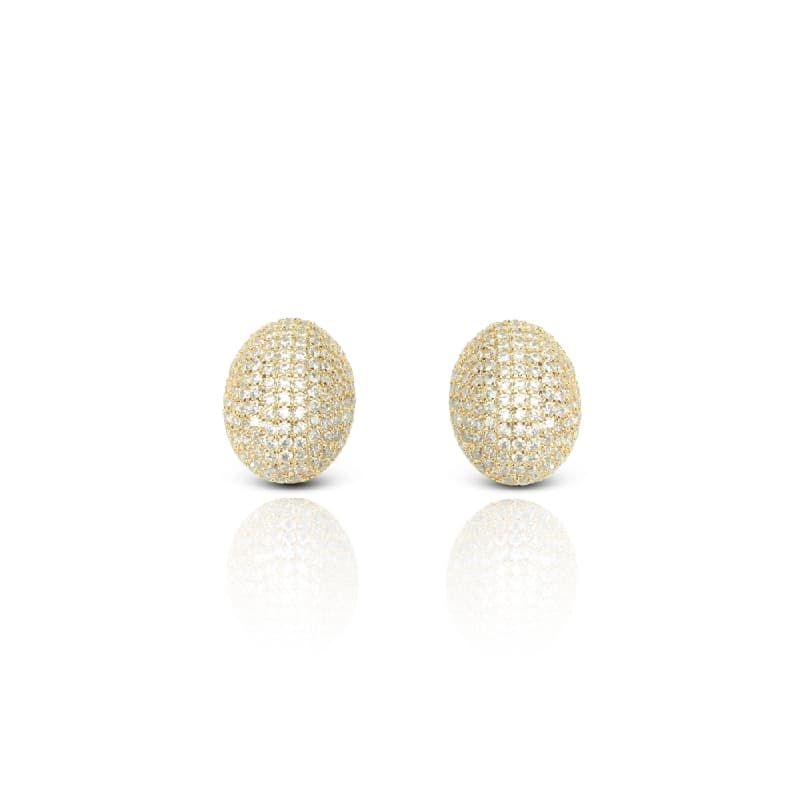 Women's Golden Glory Crystals Stud Earrings