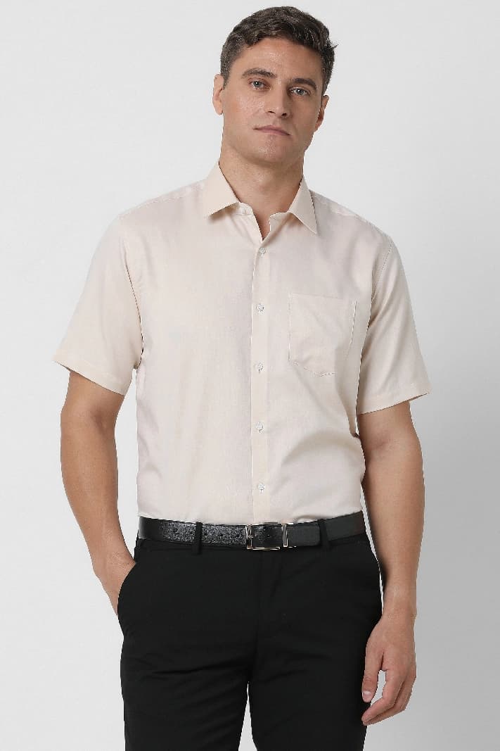 Men's Beige Formal Textured Regular Fit Shirt