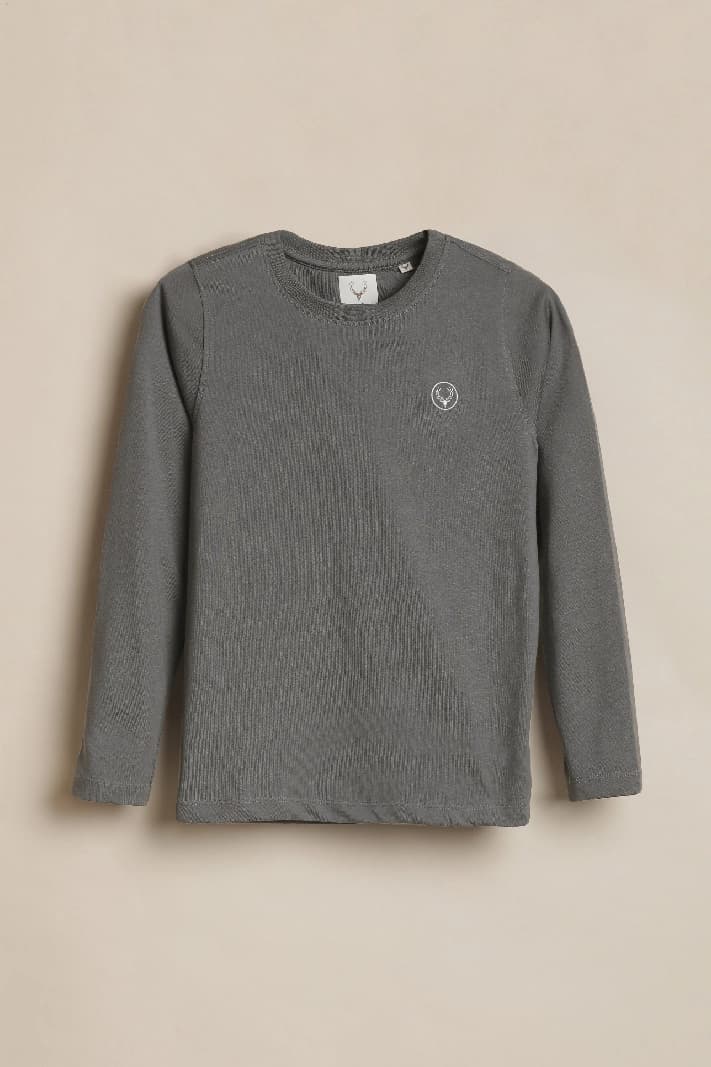 Boys Grey Casual Solid Regular Fit Full Sleeves Tshirt