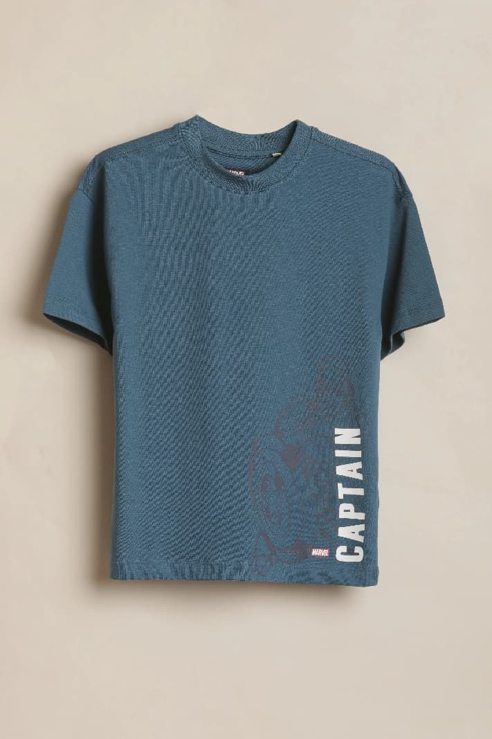 Boys Blue Casual Printed Regular Fit Tshirt