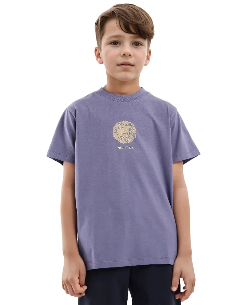 Boys Purple Casual Regular Fit Printed Half Sleeves Tshirt