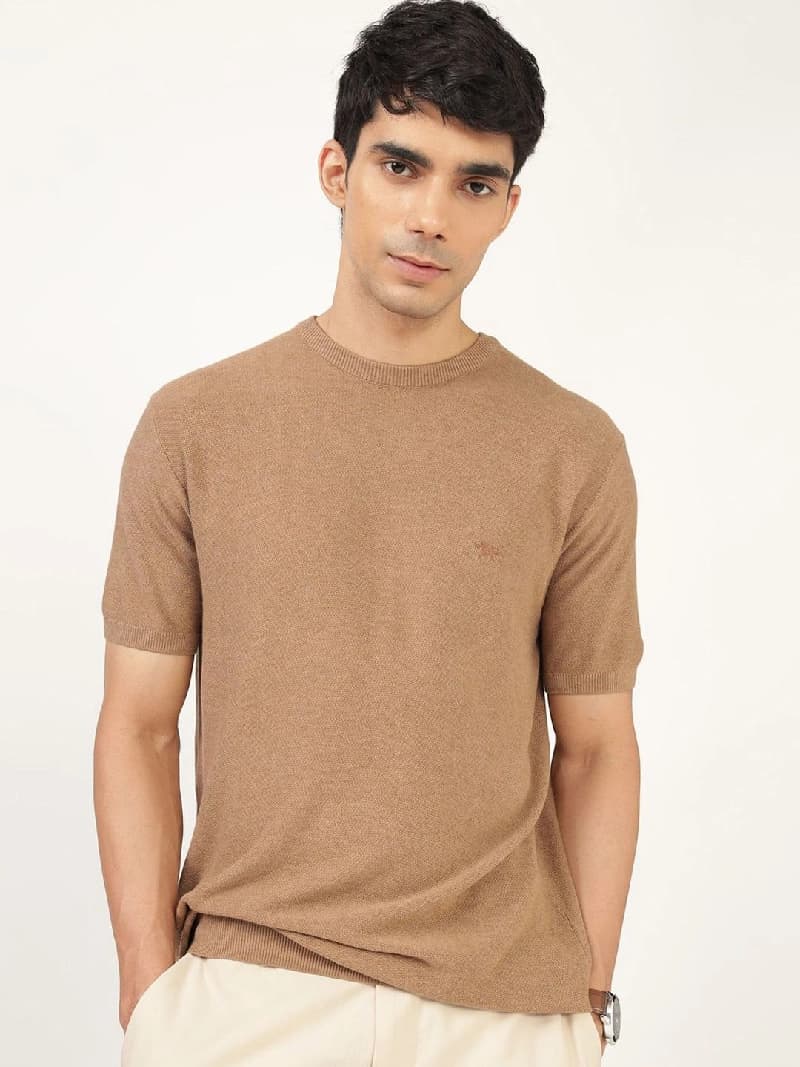 Men's Brown Casual Solid Regular Fit Tshirt