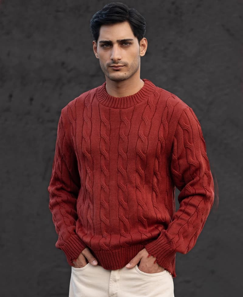Men's Red Casual Solid Regular Fit Sweater