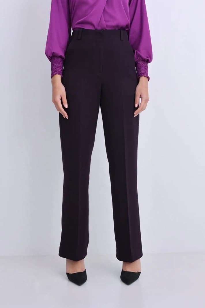 Women's Purple Work Wear Solid High Rise Straight Fit Trouser