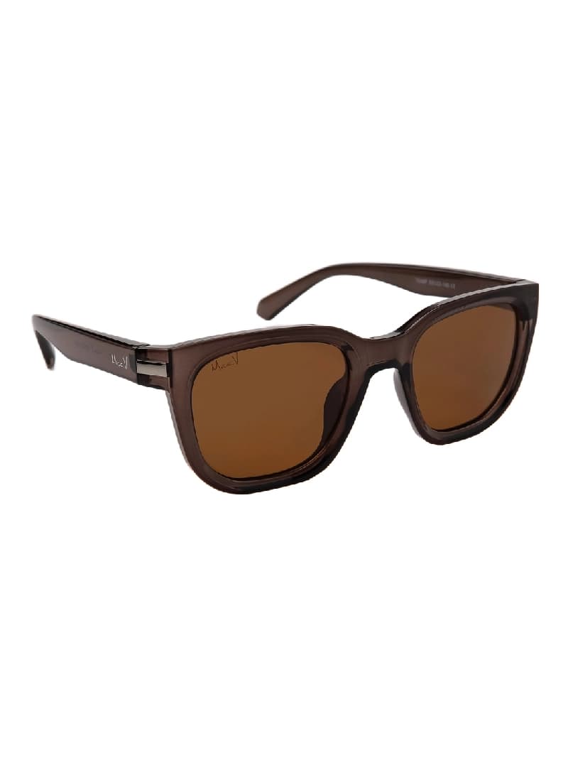 Unisex Brown Party Wayfarer Sunglass