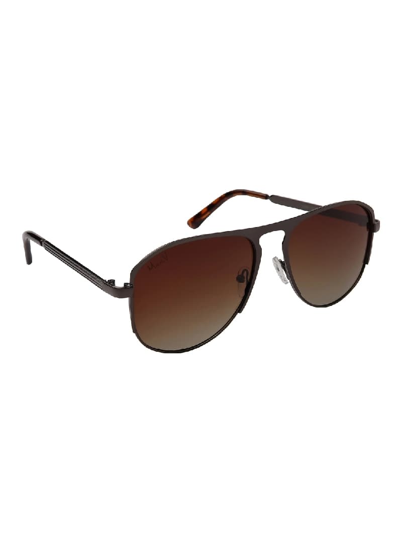 Unisex Brown Smart Casual Aviator Sunglass