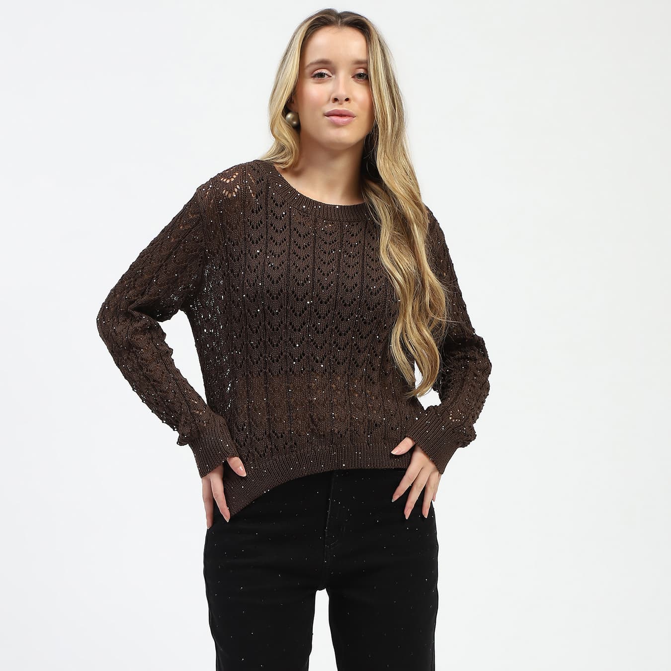 Women's Brown Casual Crochet Round Neck Knit Top