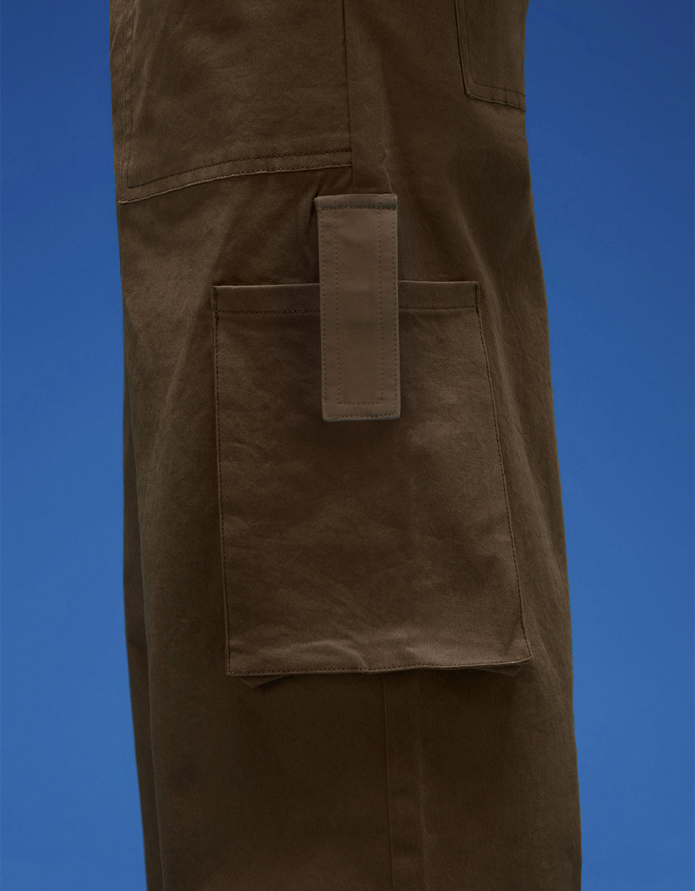 Men's Brown Casual Regular Fit Solid Cargo