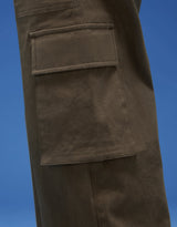 Men's Brown Casual Regular Fit Solid Cargo