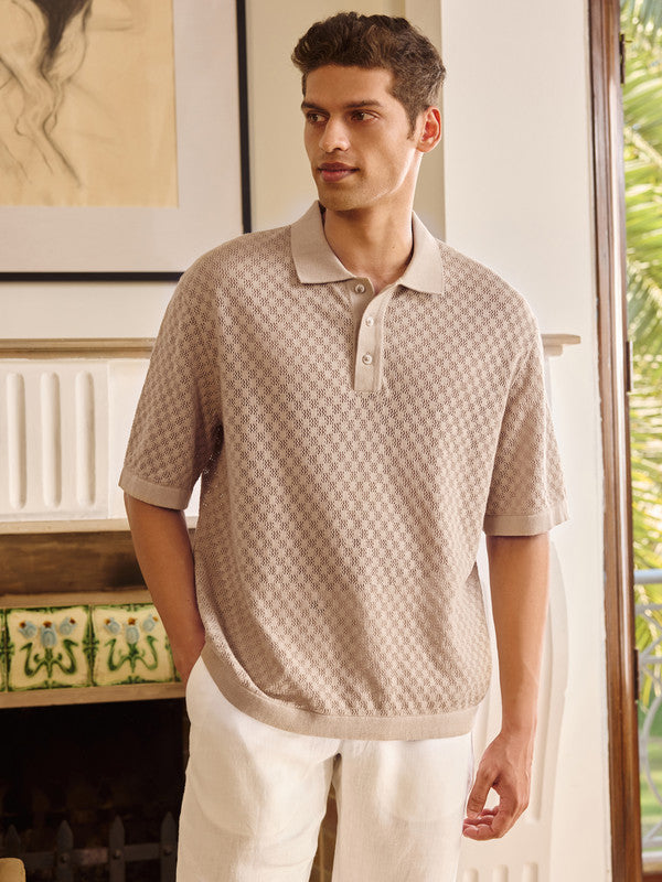 Men's Brown Casual Regular Fit Solid Half Sleeves Polo Tshirt