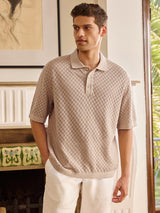Men's Brown Casual Regular Fit Solid Half Sleeves Polo Tshirt