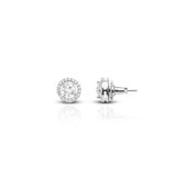 Women's Classic Halo Solitaire Earrings