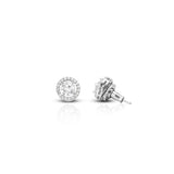 Women's Classic Halo Solitaire Earrings