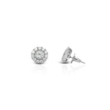 Women's Zircon Diana Stud Earrings