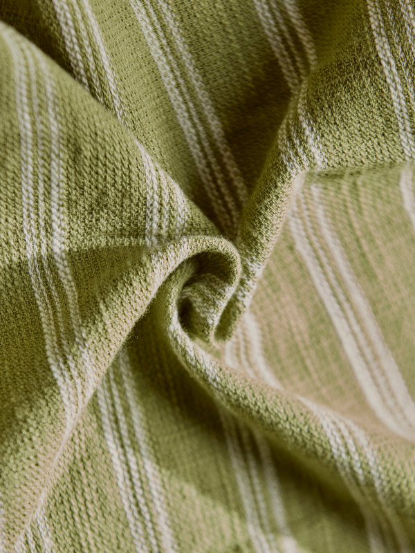 Men's Green Casual Regular Fit Striped Half Sleeves Shirt