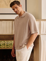 Men's Brown Casual Regular Fit Solid Half Sleeves Polo Tshirt