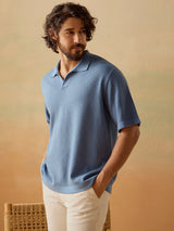 Men's Blue Casual Relaxed Fit Solid Half Sleeves Polo Tshirt