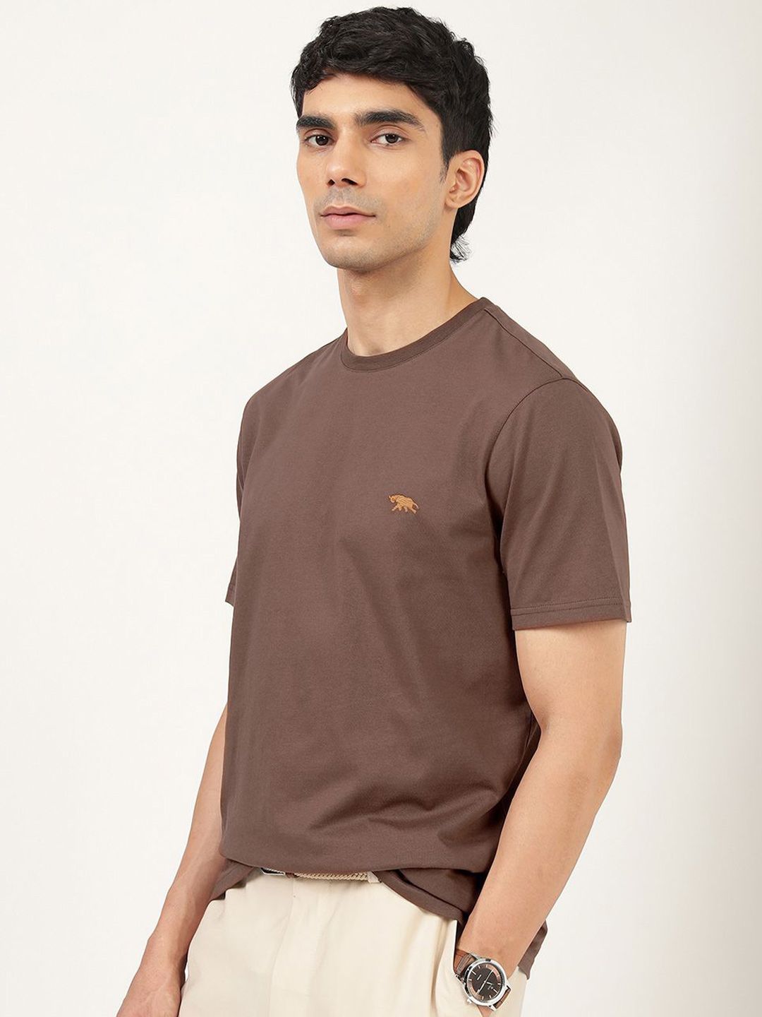 Men's Brown Casual Regular Fit Solid Half Sleeves Tshirt