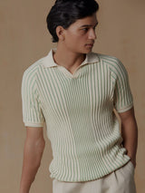 Men's Green Casual Regular Fit Solid Half Sleeves Polo Tshirt