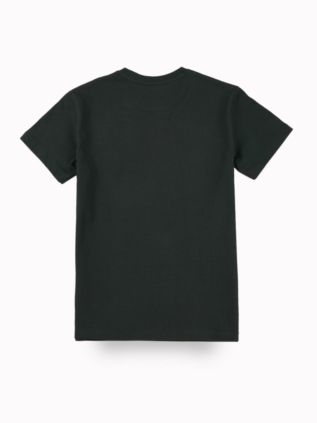 Boys Green Casual Relaxed Fit Printed Half Sleeves Tshirt