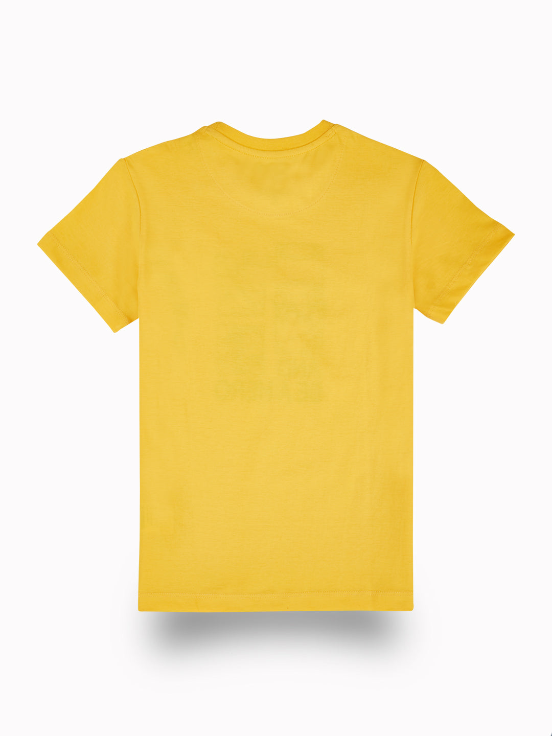 Boys Multicolor Casual Regular Fit Tshirt and Short