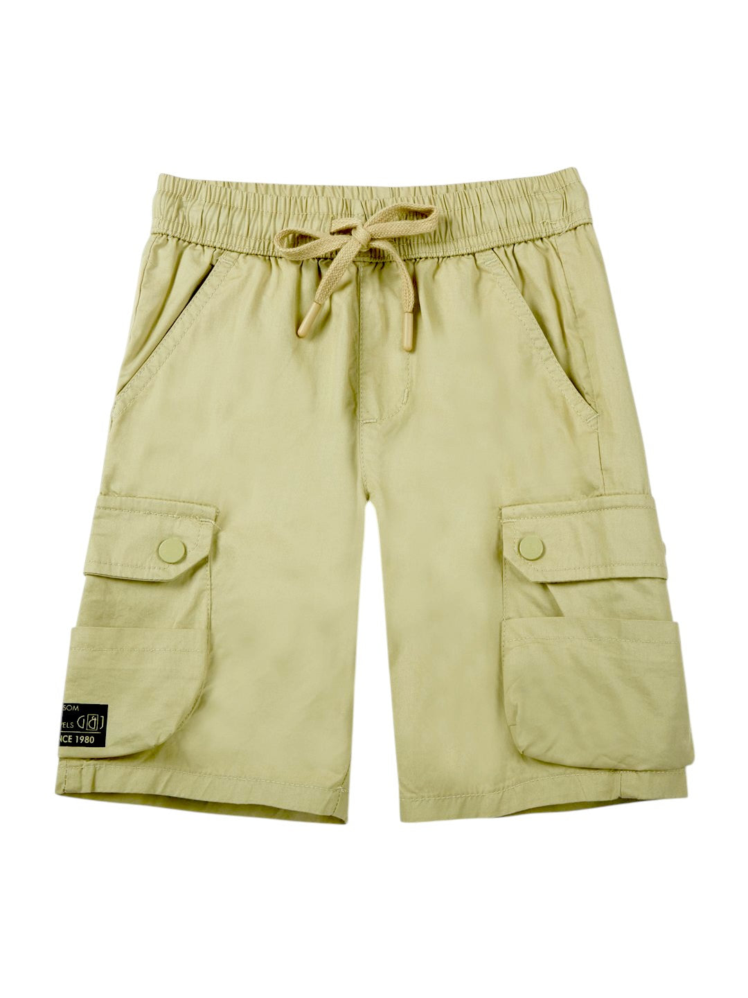 Boys Green Casual Regular Fit Solid Shorts