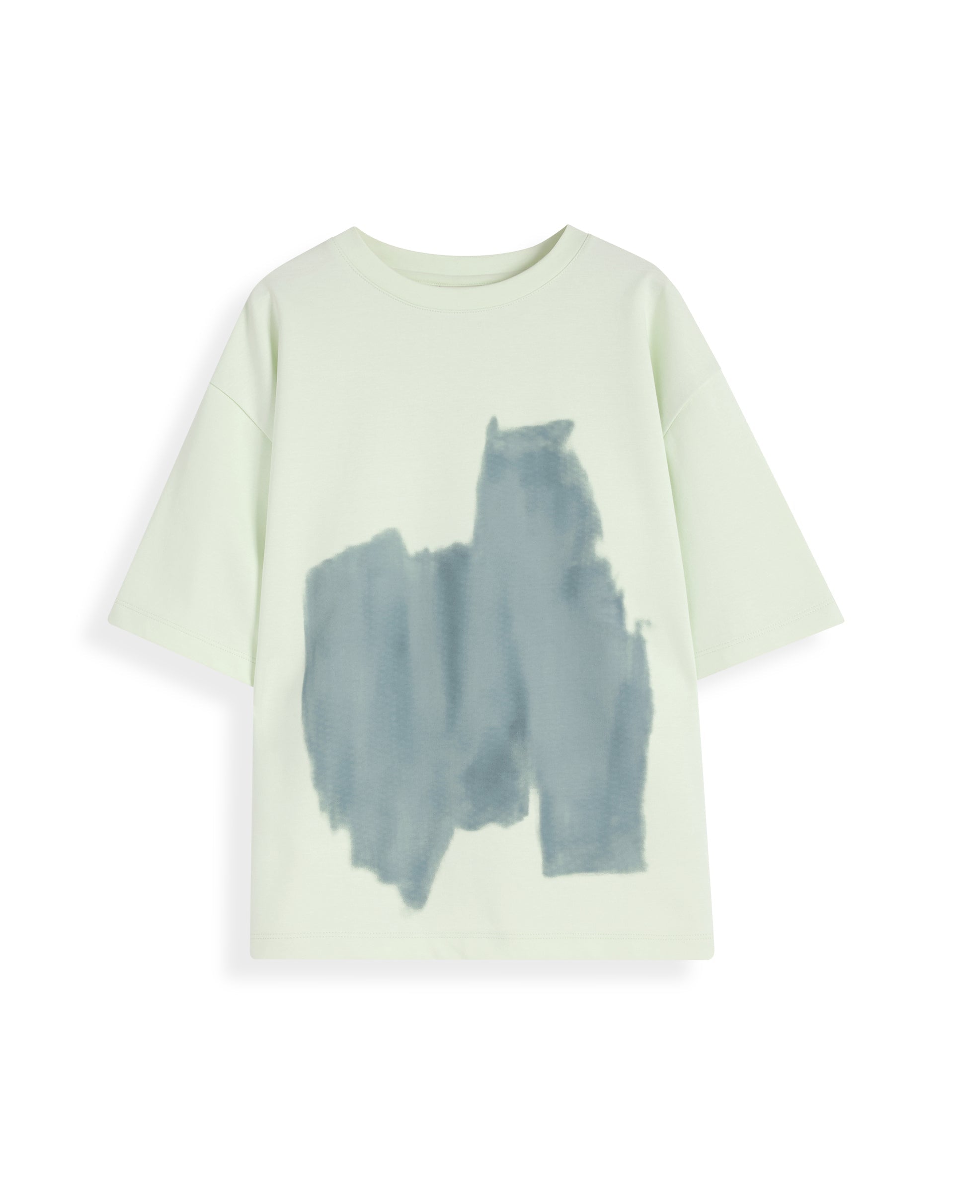 Boys Green Casual Oversized Fit Graphic Printed Half Sleeves Tshirt