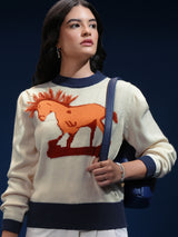 Women's Multicolor Casual Self-Design Full Sleeves Sweater