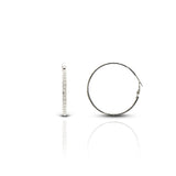 Women's Zircon Celeste Round Hoops