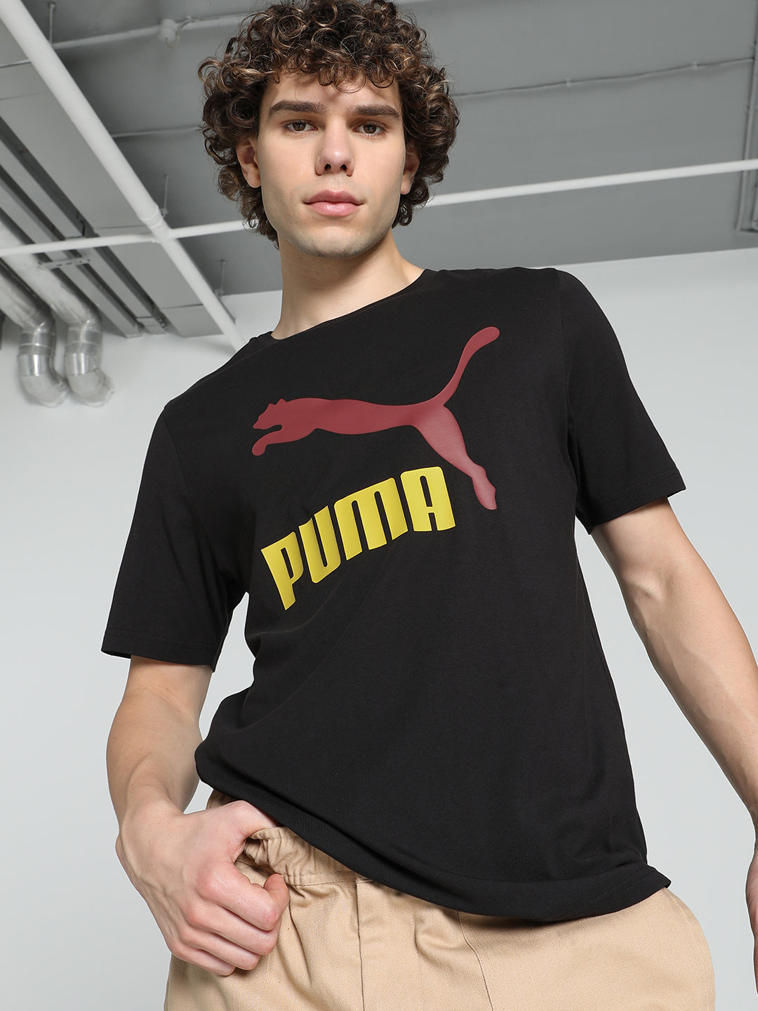 Mens Black Cotton Regular Casual Half Sleeves Tshirt