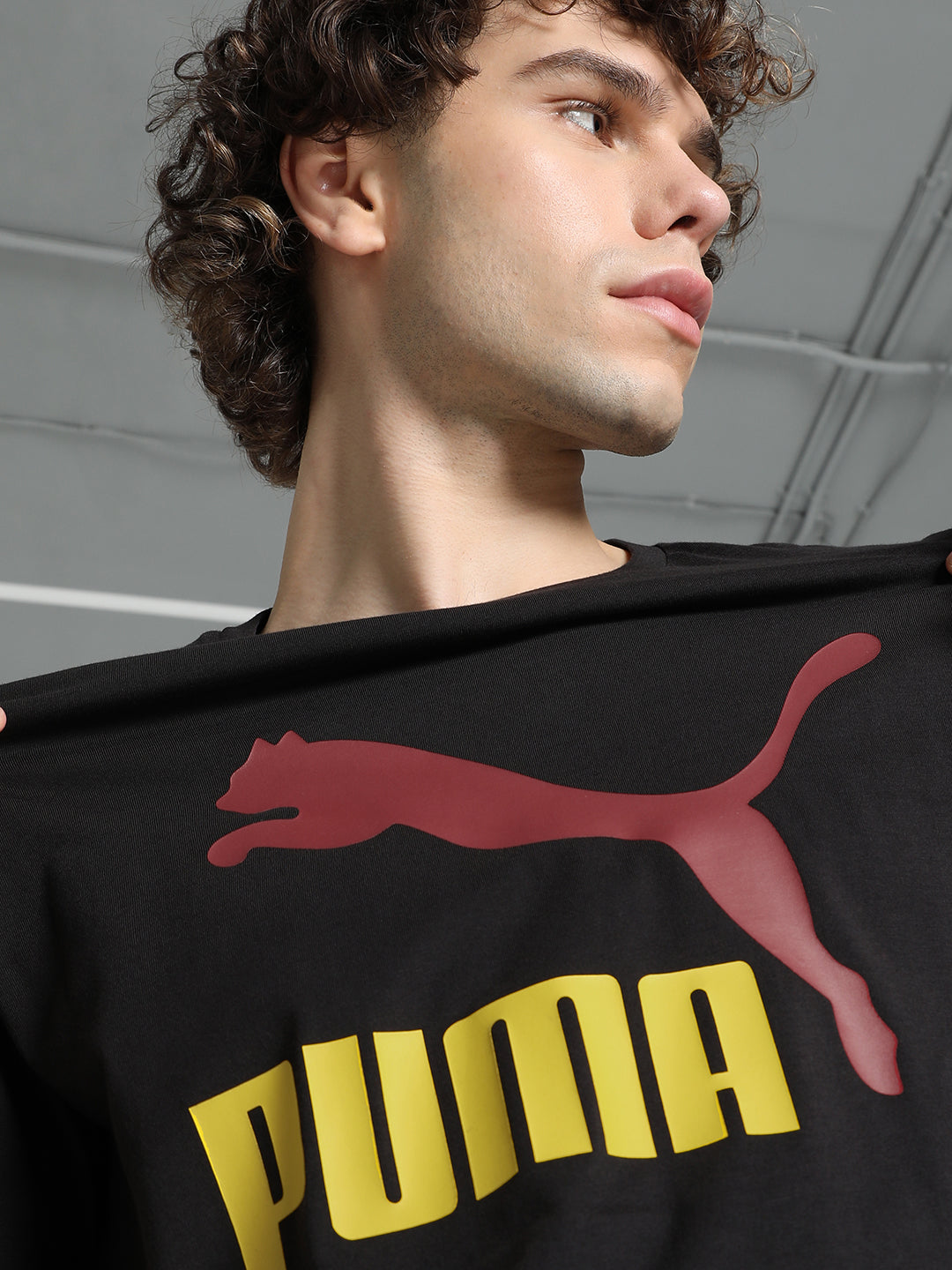 Mens Black Cotton Regular Casual Half Sleeves Tshirt