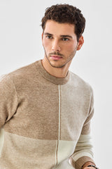 Men's Beige Casual Regular Fit Colorblocked Full Sleeves Sweater
