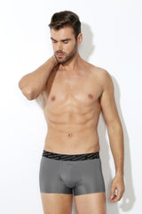 Men's Grey Regular Fit 4 Way Stretch 3D Logo Waistband Solid Tactel Trunk - Pack of 1
