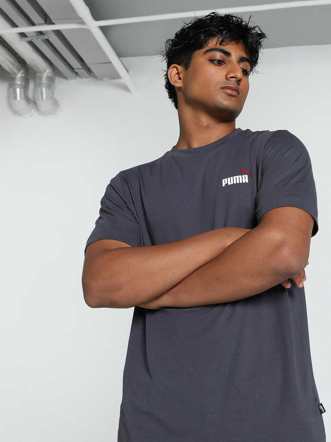 Mens Grey Casual Regular Half Sleeves Tshirt