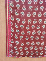 Women's Multicolor Pure Cotton Saree