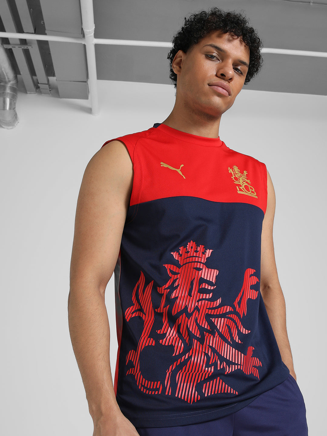 Mens Red Sports Regular Fit Sleeveless Tshirt