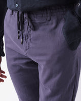 Men's Purple Casual Regular Fit Solid Trouser